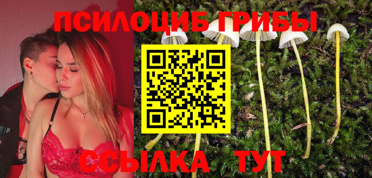 Галлюциногенные грибы ЛСД Губкин
