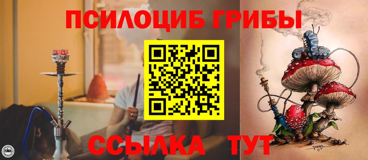 Псилоцибиновые грибы MAGIC MUSHROOMS  Вход с VPN  Губкин 